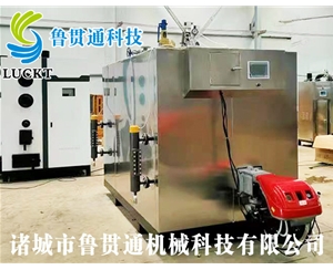 1噸燃?xì)猓ㄓ停┱羝l(fā)生器 現(xiàn)貨供應(yīng)，工廠直銷，規(guī)格型號眾多，可來電咨詢