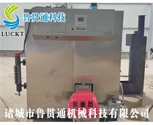 燃氣（油）蒸汽發(fā)生器 現(xiàn)貨供應，工廠直銷，規(guī)格型號眾多，可來電咨詢