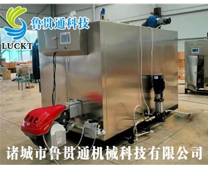 1噸燃氣（油）蒸汽發(fā)生器 現(xiàn)貨供應，工廠直銷，規(guī)格型號眾多，可來電咨詢